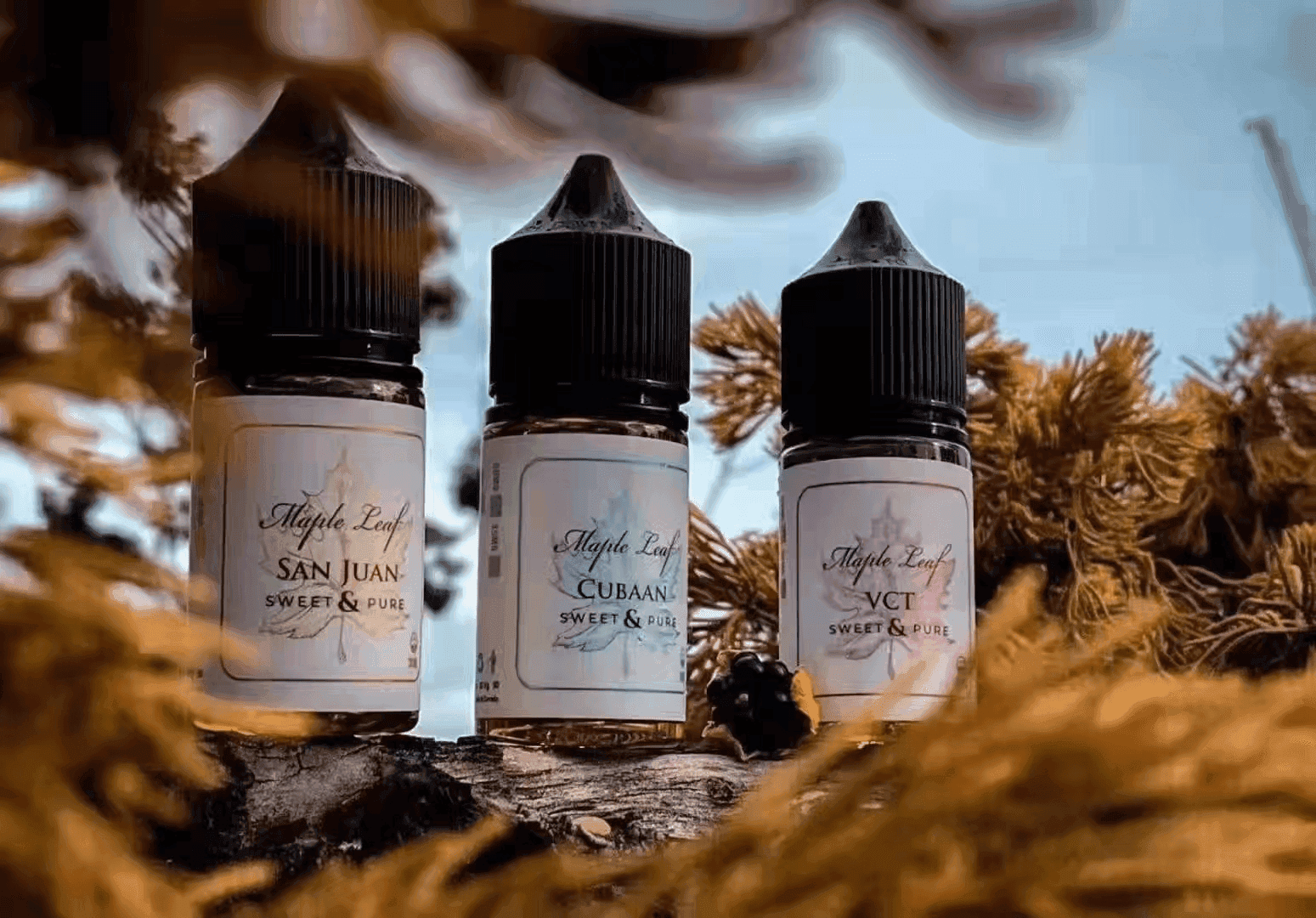 楓葉小煙油30ML Maple Leaf加拿大原裝進口:圖片 3